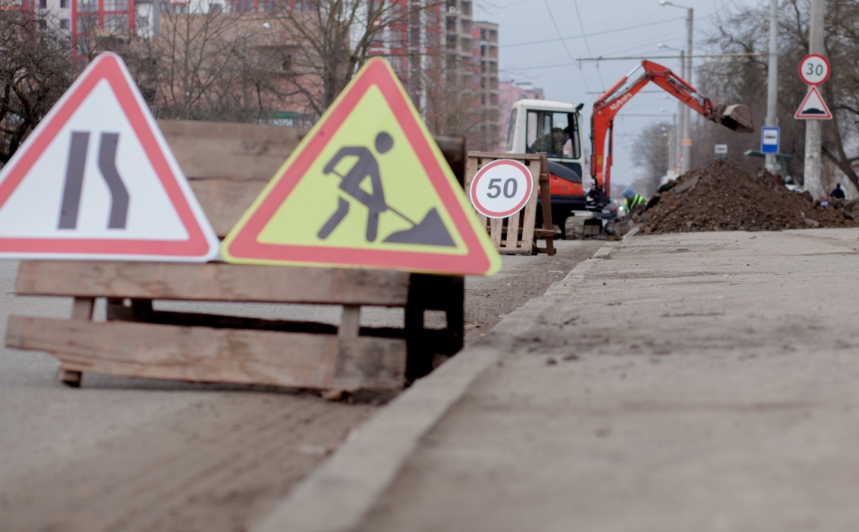 Przyszłość Zielnioka: Przebudowa ulicy, ścieżka rowerowa i zagrożenie dla 380 drzew